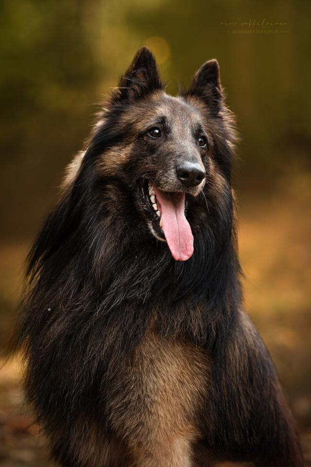 Luca istuu ja katsoo kohti kameraa